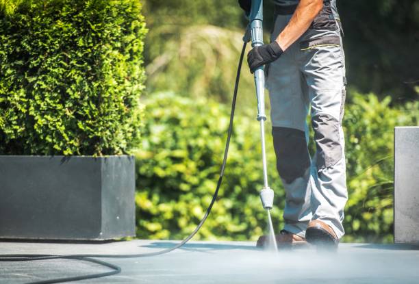 Best Dumpster Area Cleaning  in Malverne, NY